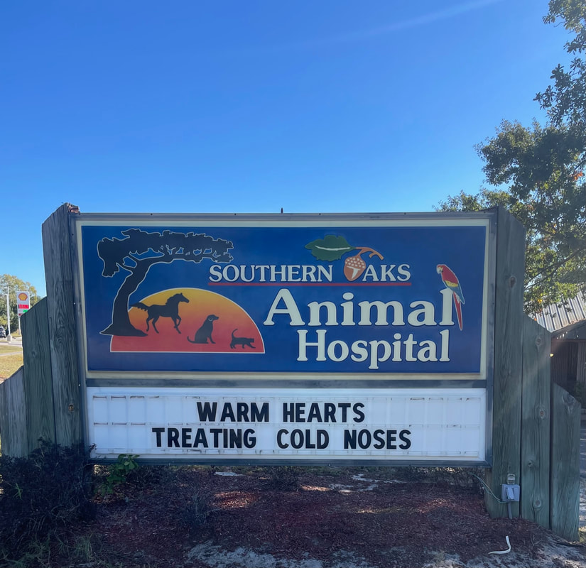 Southern Oaks Animal Hospital - Southern Oaks Animal Hospital
